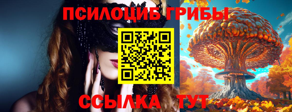 Кинель  Галлюциногенные грибы ЛСД  Вход с VPN 