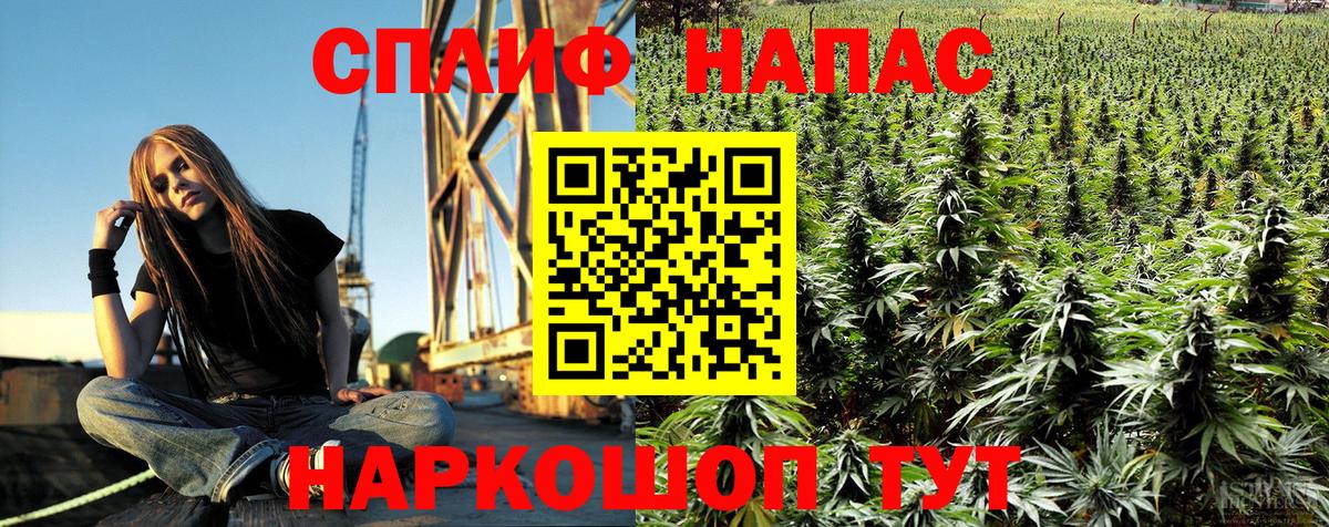 Каннабис планчик  Марихуана OG Kush  Вход с VPN  Кинель 